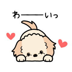 やさしいマルプー『感情多め』