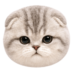 白白短腿貓咪 Emoji ❤️ 豐富表情 21