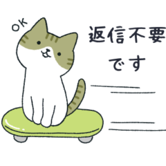 A neat gray and white cat 2.