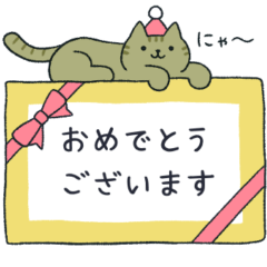 A neat tabby cat.