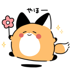 Little Round Fox