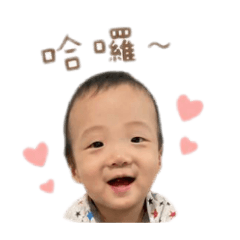 小皮蛋6