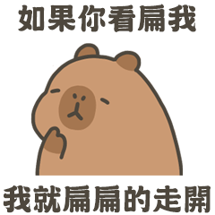 capy capybara116