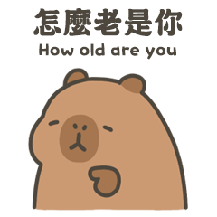 卡比巴拉肥水豚怎麼老是你