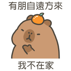 capy capybara120