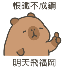 卡比巴拉肥水豚明天飛福岡