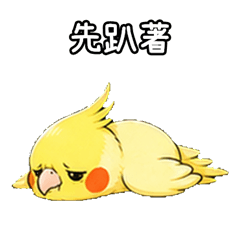 Cockatiel Negative Mood