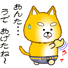 nobobi 素直なシバ
