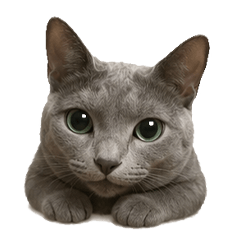 My Russian Blue Princess
