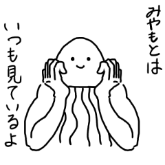 Muscle Jellyfish MIYAMOTO