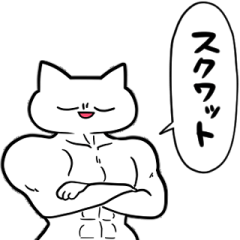筋トレねこマッチョ