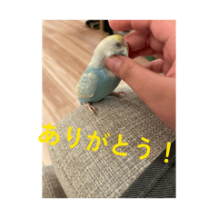 negi_20260522213114