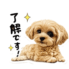 LOLO_20260522212626