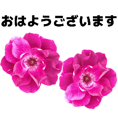 OSAMU_20260522213948