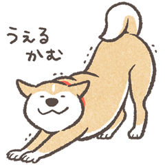 Shiba Inu (Shiba-Dog) stickers -vol.5 jp
