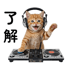 Wiggly Real Cats! Daily Life ver.