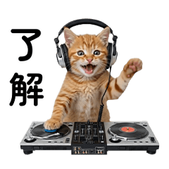 Wiggly Real Cats! Daily Life ver.