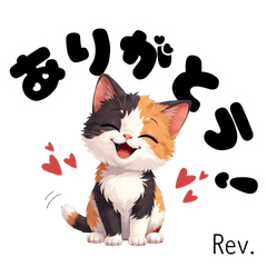 Cute calico cat -Rev.-