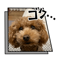 chika_20260522225238