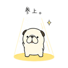 onion_20260522222143