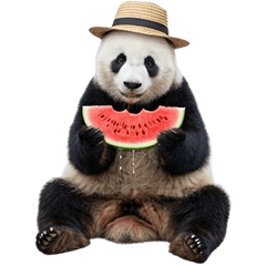 BIG! Summer Panda Live Action