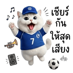 サッカー熱狂子猫