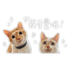 污泥&弟弟