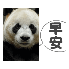 早安16