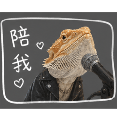 鬆獅蜥小黃瓜