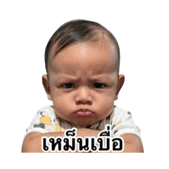 K_20260428194225
