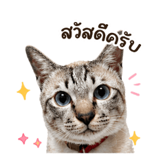 Tanont The Cat V3