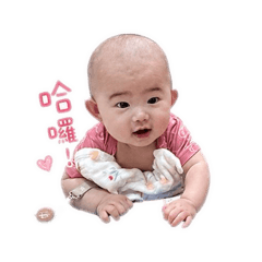 柔北鼻