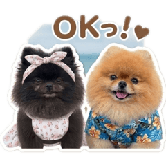 Lion_20260523045853