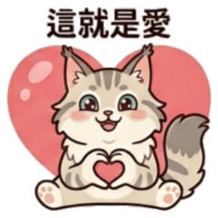 Cute cat, this is love.