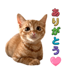 shi-chan_20260523084456