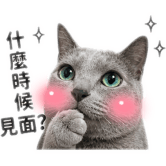 喵喵喵喵～0721