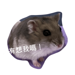 張飯糰好胖胖