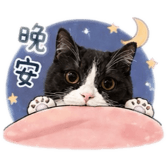 玖玖日記