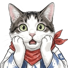 Pipi is an adorable cat.
