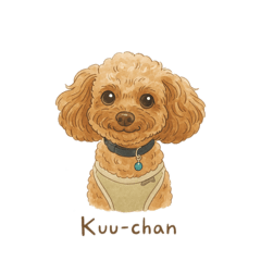 kuuchan_20260523090943