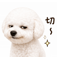 Bichon's Daily Life: Butt's the Star