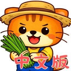 オレンジ猫トレーダー (漢字)