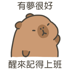 卡比巴拉肥水豚醒來記得上班