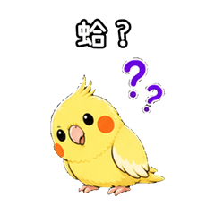 Cockatiel Meme Reactions