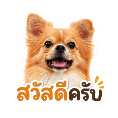 Moomoo'_20260428201544