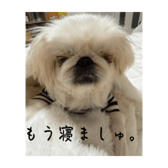 koge_20260523120127