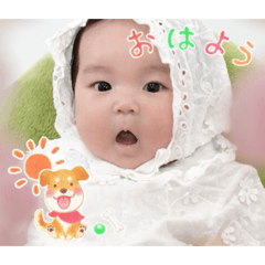 Aoi_20260523120826