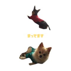 k_20260523124913