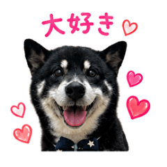 yukihira_20260523130527