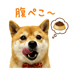 yukihira_20260523131328